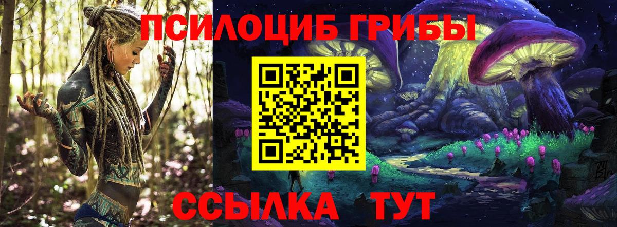 Псилоцибиновые грибы мицелий Рыбинск