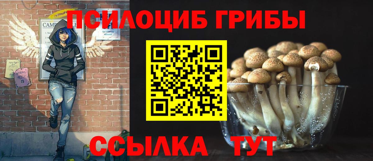 Псилоцибиновые грибы Magic Shrooms  Вход с VPN  Псилоцибиновые грибы прущие грибы  Рыбинск 